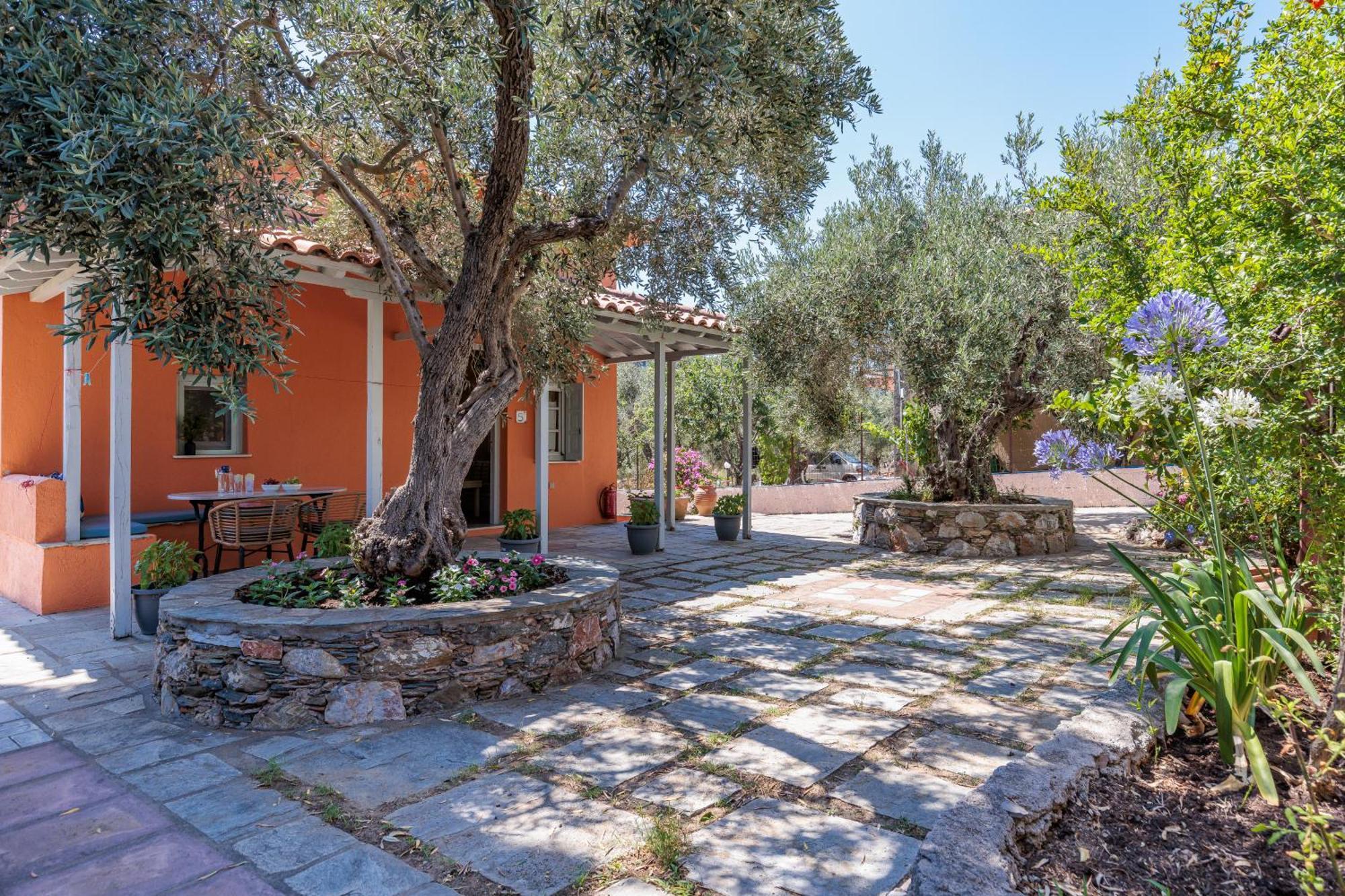 Aretousa Studios & Apartments Σκόπελος Εξωτερικό φωτογραφία