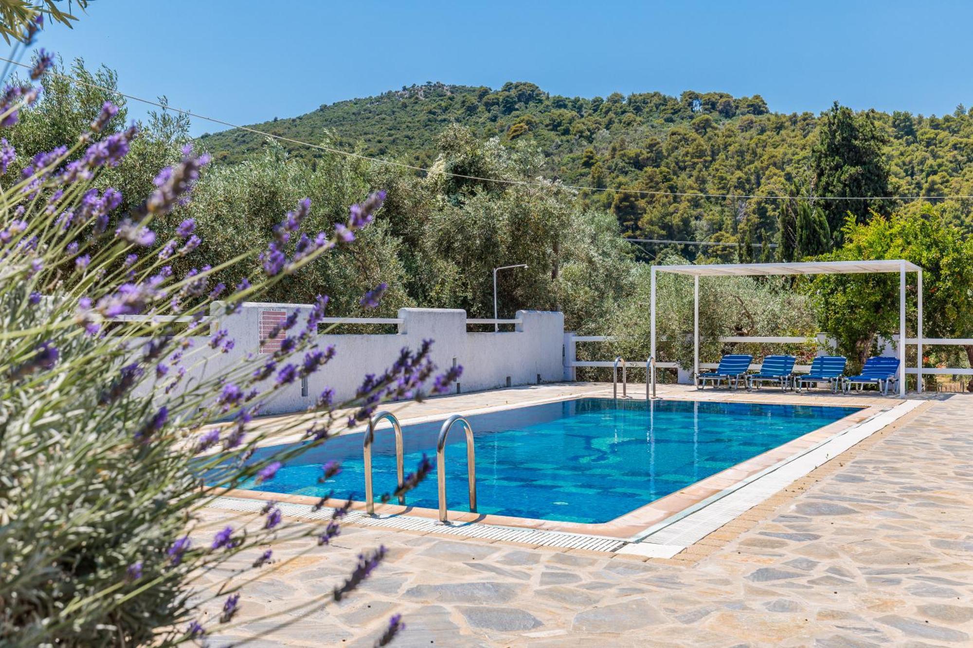 Aretousa Studios & Apartments Σκόπελος Εξωτερικό φωτογραφία